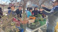 Visita al huerto vecinal de Valdespartera organizada por el Grupo Medioambiente Distrito Sur.