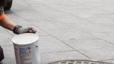 Un operario municipal coloca veneno líquido en una de las alcantarillas de la plaza de Santa Engracia