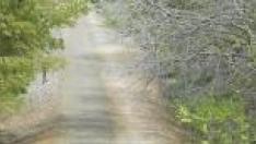 Vía verde Tarazonica