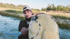 El siluro albino captura por dos pescadores de Movera en Zaragoza.