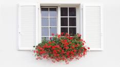 Regar las flores de las ventanas y balcones pueden conllevar multa
