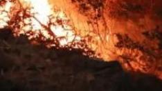 En Canadá hay 923 incendios forestales activos.