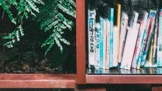 hitoshi-suzuki-1COcTd3pRCg-unsplash