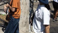 Decenas de turistas pasan ante el Coliseo de Roma, afectado por una plaga las ratas.