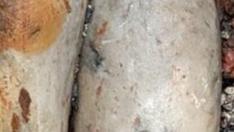 Un Apolo de mármol de casi dos metros hallado en las termas italianas de San Casciano