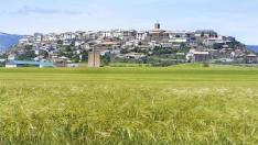 Berdún renuncia a construir un campo de golf con 1.350 viviendas "por las trabas de la DGA"
