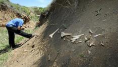 Aparecen restos arqueológicos de un cementerio islámico en Jarque de la Val