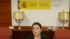 Gallizo no descarta conductas irregulares