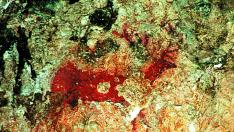 La pintura rupestre aragonesa ha sido reconocida como Itinerario Cultural Europeo