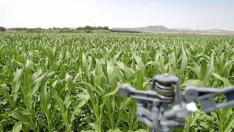 Arguilé dice que habrá presupuesto para 973 solicitudes de modernización agraria