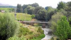 Imagen del estado que presenta el cauce del río y las riberas.