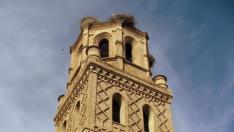 Los Bomberos 'rescatan' 4 huevos de cigüeña en la Torre de la Iglesia de Monzalbarba
