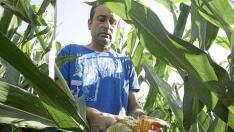 Los agricultores temen que la falta de agua reduzca las producciones de maíz y de alfalfa