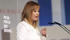 Pajín insta al PP a pedir "perdón" por no incluir el trasvase del Ebro en su programa