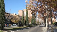 Los vecinos de El Picarral piden la ejecución del Plan Integral de Revitalización del barrio