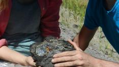 Encuentran en Utrillas una de las mayores piezas de ámbar fósil de España