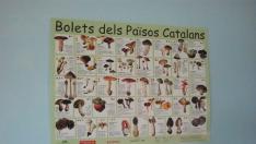 Denuncian la presencia de carteles alusivos a los "países catalanes" en La Alfranca