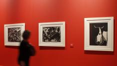 Picasso y el toro, en el Palacio de Sástago
