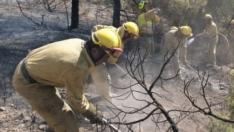 El 52% de los incendios en Aragón son por negligencias