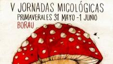 Se acercan las V Jornadas Micológicas Primaverales de Borau, en Huesca