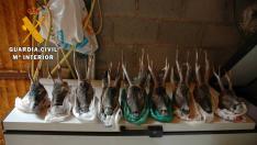 Intervenidas nueve cabezas de corzo de caza ilegal