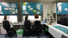 Un laboratorio en pruebas del primer gel microbicida que podría prevenir la transmisión sexual del VIH.