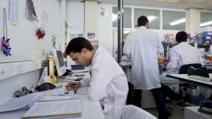 Investigadores de la Universidad de Zaragoza en el campo de la tuberculosis