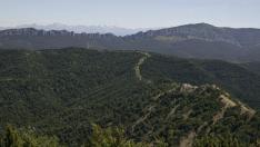 ​La Sierra de Santo Domingo, a un paso de ser el cuarto Paisaje Protegido de Aragón