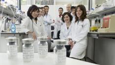 Un grupo de científicos de la UZ investigando la vacuna para la tuberculosis