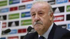 El seleccionador español Vicente Del Bosque.