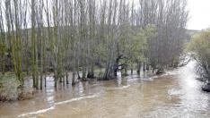 La crecida del río provoca incidencias en Plasencia de Jalón