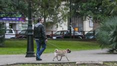 El Ayuntamiento utilizará el ADN canino para multar a quienes no recojan las heces