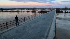 Un hombre mira el río en Quinto de Ebro