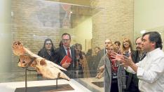 El director del museo, José Ignacio Canudo, explica detalles del uro de Ariño. Aránzazu Navarro