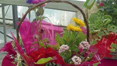 Cestas variadas. En Gardeniers proponen conjuntos así de variados, donde el color rojo se une a los dorados y blancos. Son una buena opción si nuestro enamorado es un amante de la jardinería. Gardeniers