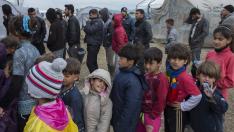Niños refugiados hacen fila en el campo de Idomeni (Grecia) para obtener comida.