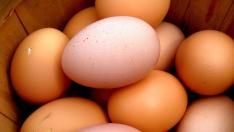 Los huevos morenos son los más habituales en las tiendas de alimentación.
