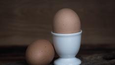 Las altas temperaturas del verano aumentan el riesgo de contraer salmonelosis.