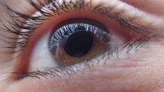 Las enfermedades cerebrales se manifiestan en la retina del ojo