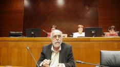 García Encabo durante su comparecencia, ayer, en la Comisión de Sanidad de las Cortes.