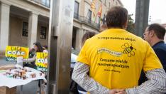 Apicultores aragoneses se manifestaron en la plaza del Pilar para reclamar un etiquetado transparente en la miel.
