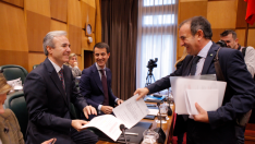 Pleno del Ayuntamiento de Zaragoza.