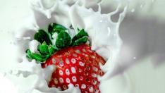 La leche es un alimento rico en energía y nutrientes.