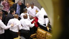 Batalla campal en el Parlamento sudafricano
