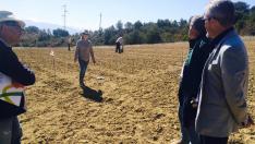 La parcela tiene mil metros cuadrados y se sitúa en un campo de Bernués.
