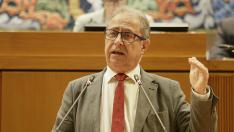 Pleno en las Cortes de Aragón