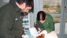 El centro de La Alfranca atendió a más de 1.000 animales en 2016