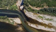 Vertidos a la vista y especies invasoras: lo que deja ver la sequía del Ebro