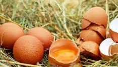 Se trata de 50 kilos de huevos en polvo contaminados con fipronil.