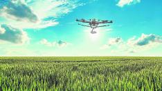 Un dron de la empresa sobrevuela un campo de cereal en las Cinco Villas.